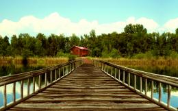 Forest Cabin Picture